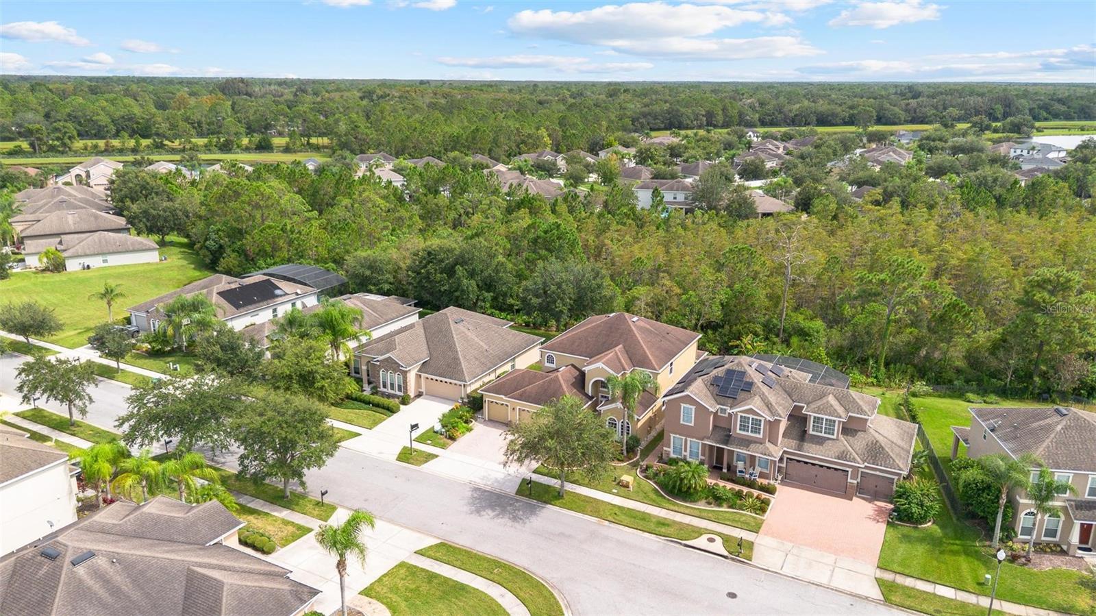 Image 7 of 87 For 17320 Cypress Preserve Parkway