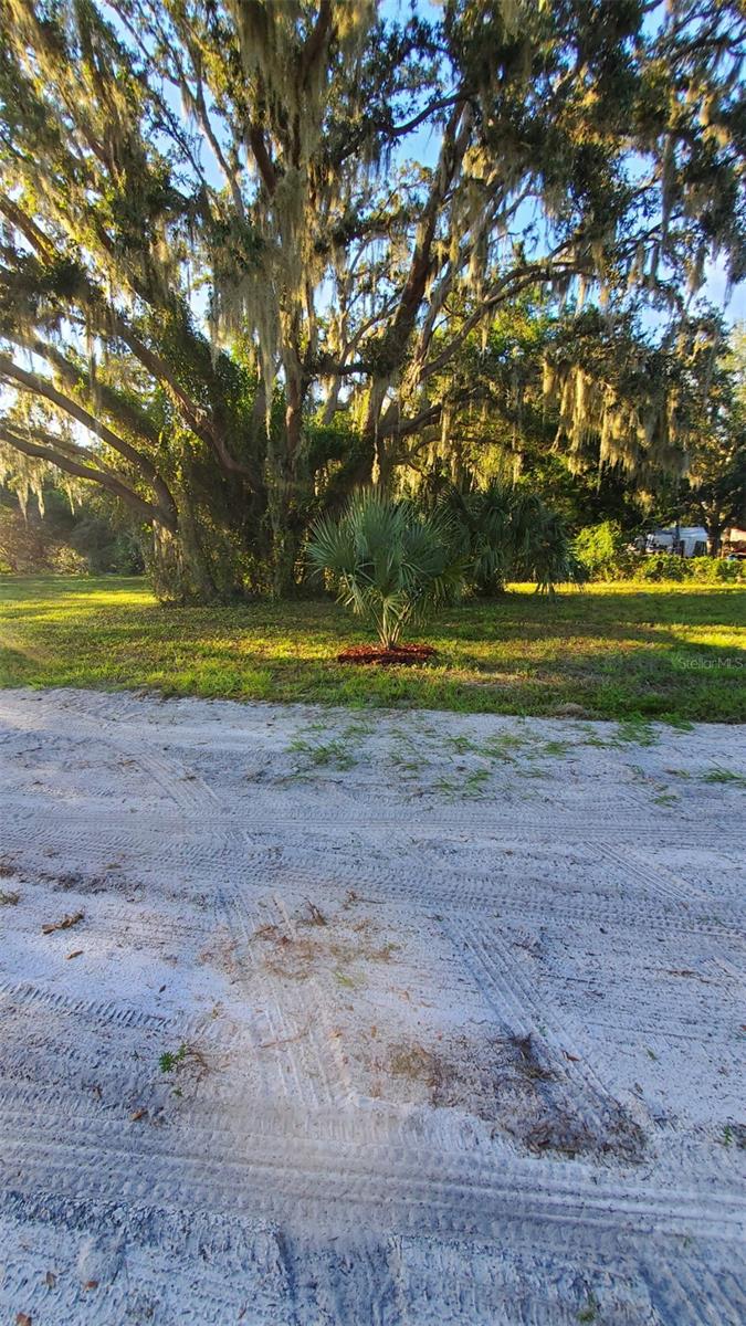 Image 10 of 11 For 885 Lake Marian Road
