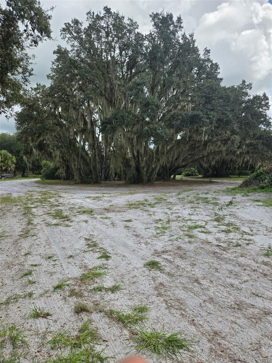 Image 3 of 11 For 885 Lake Marian Road