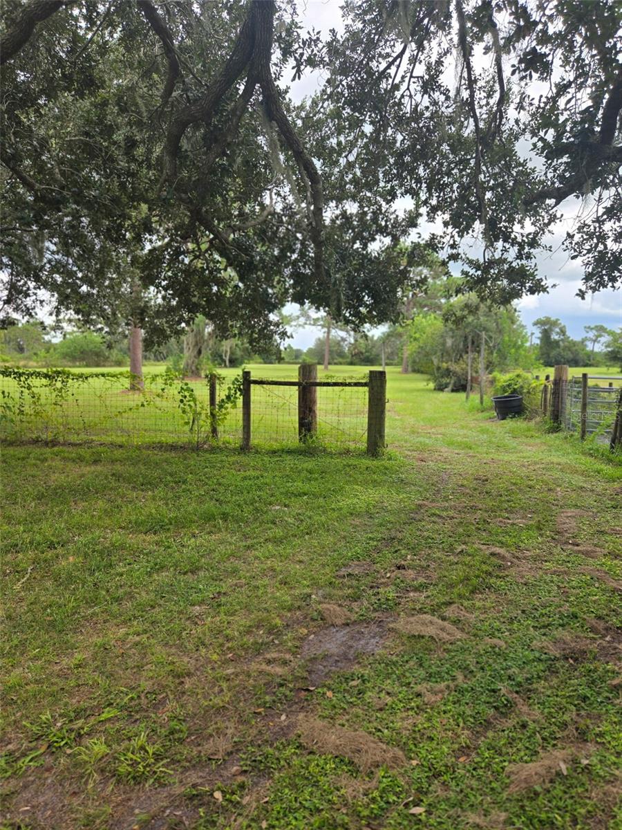 Image 4 of 11 For 885 Lake Marian Road