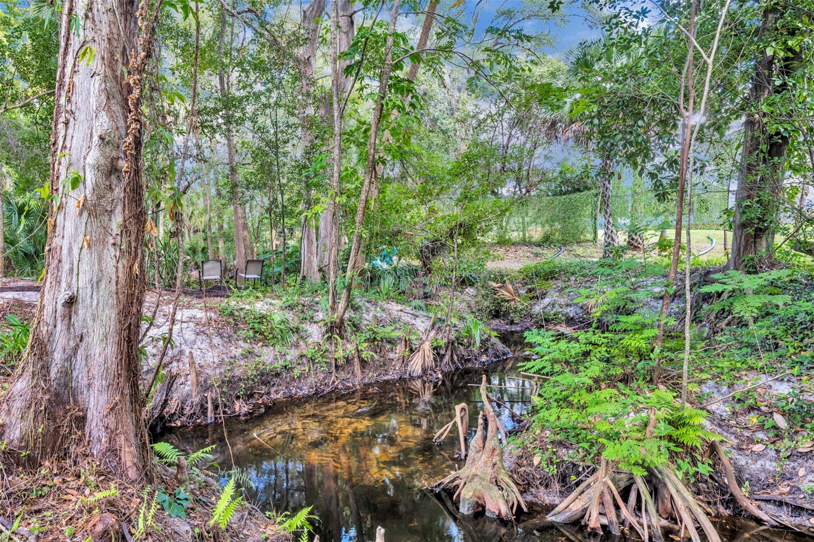 Image 44 of 65 For 672 Silver Creek Drive