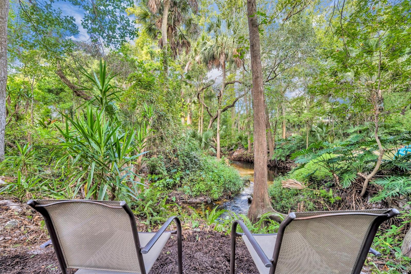 Image 46 of 65 For 672 Silver Creek Drive