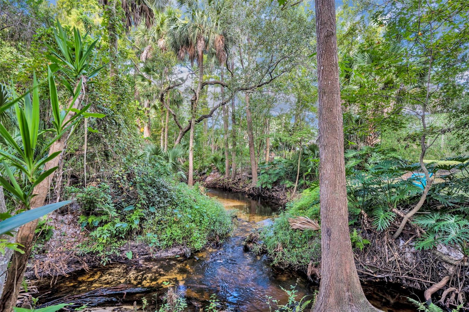 Image 47 of 65 For 672 Silver Creek Drive