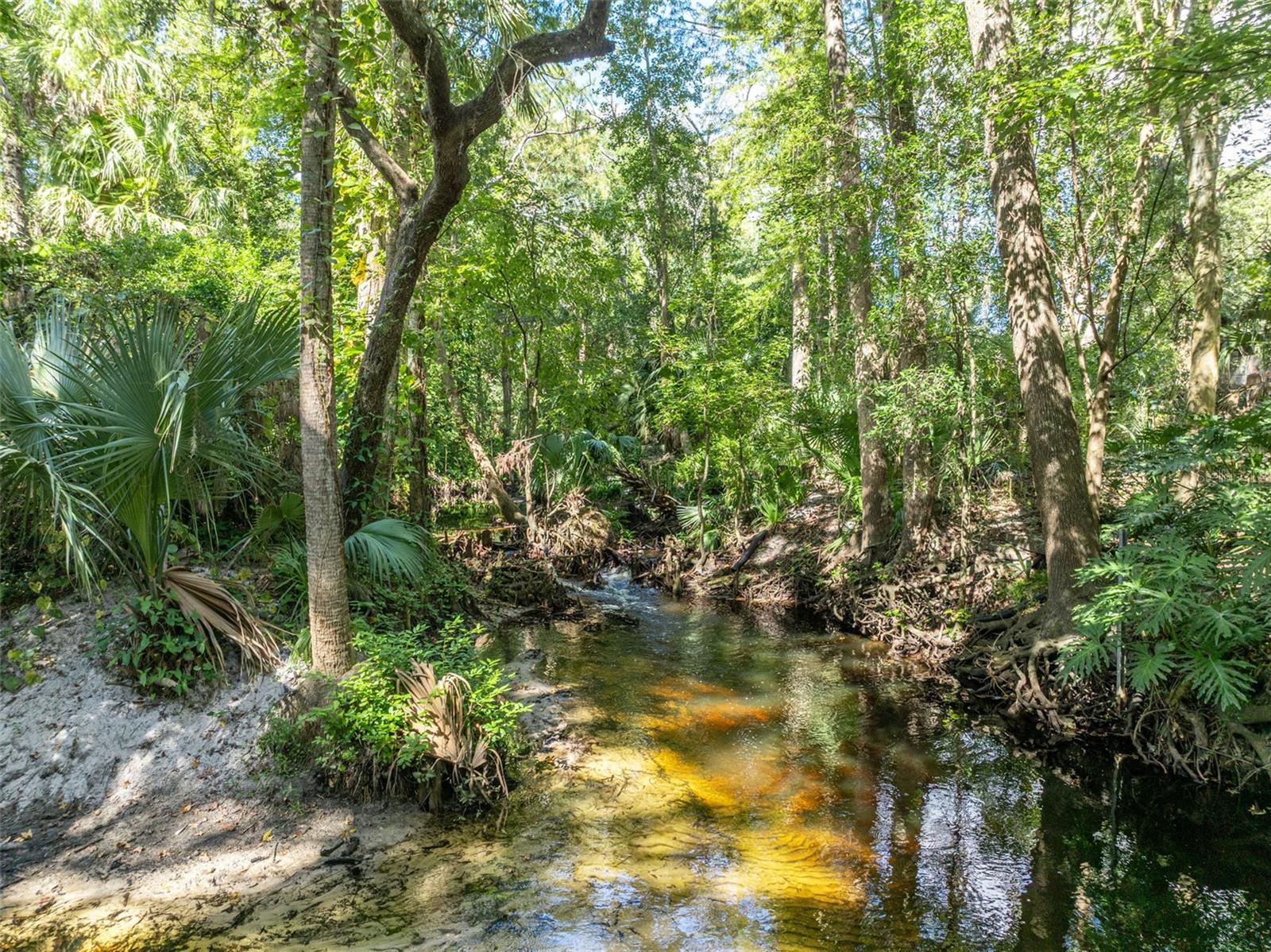 Image 63 of 65 For 672 Silver Creek Drive