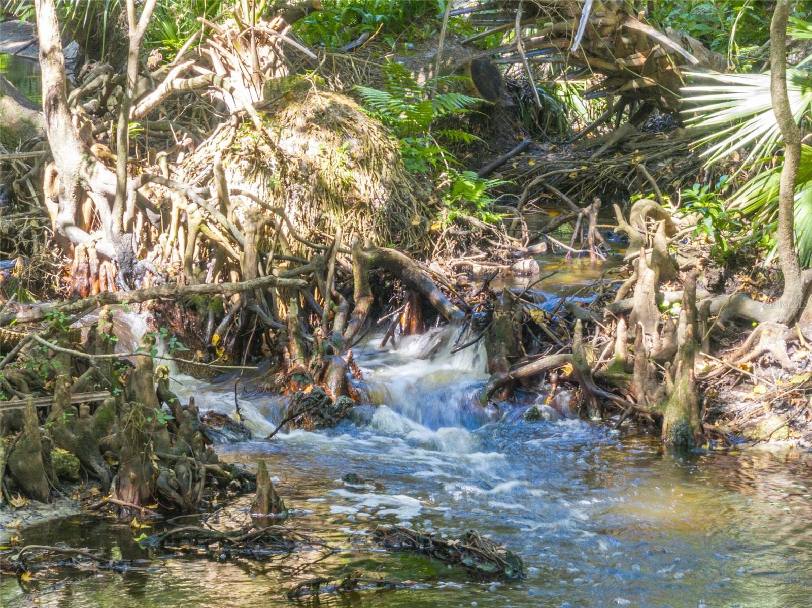 Image 64 of 65 For 672 Silver Creek Drive