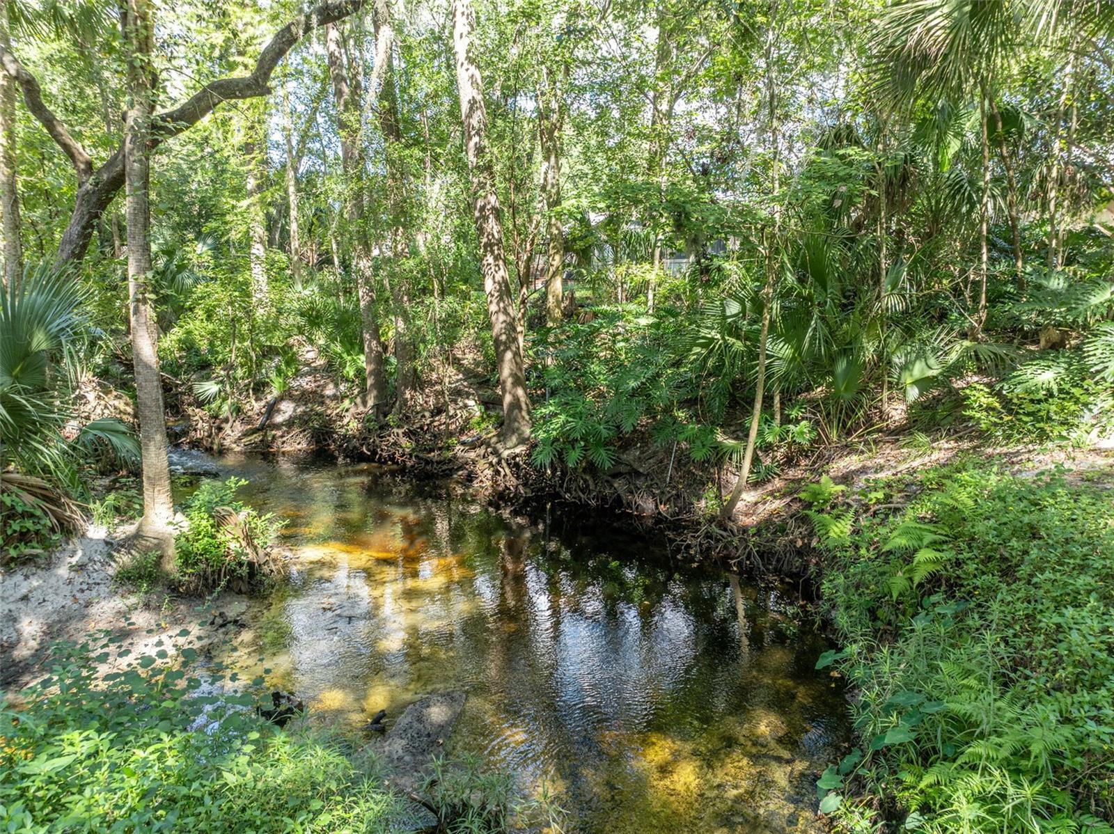 Image 65 of 65 For 672 Silver Creek Drive