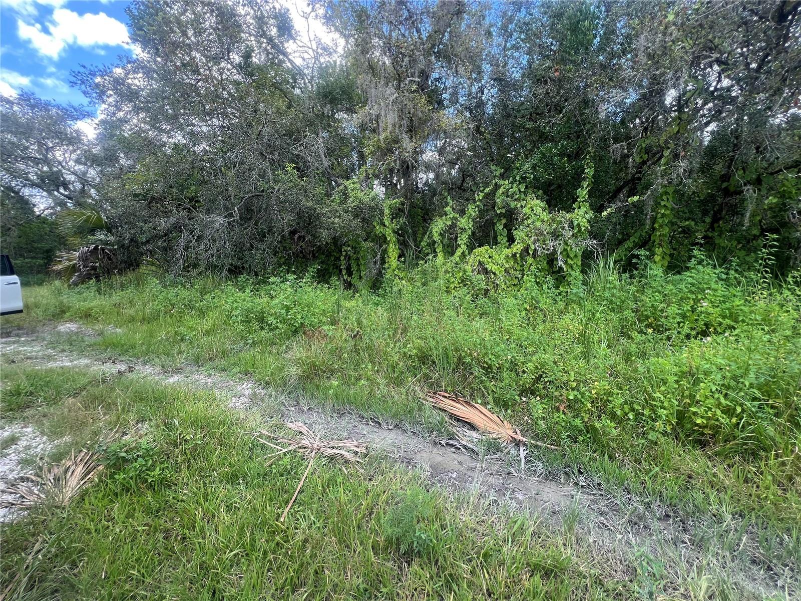 Details for 0 Ladd Avenue, NEW PORT RICHEY, FL 34654