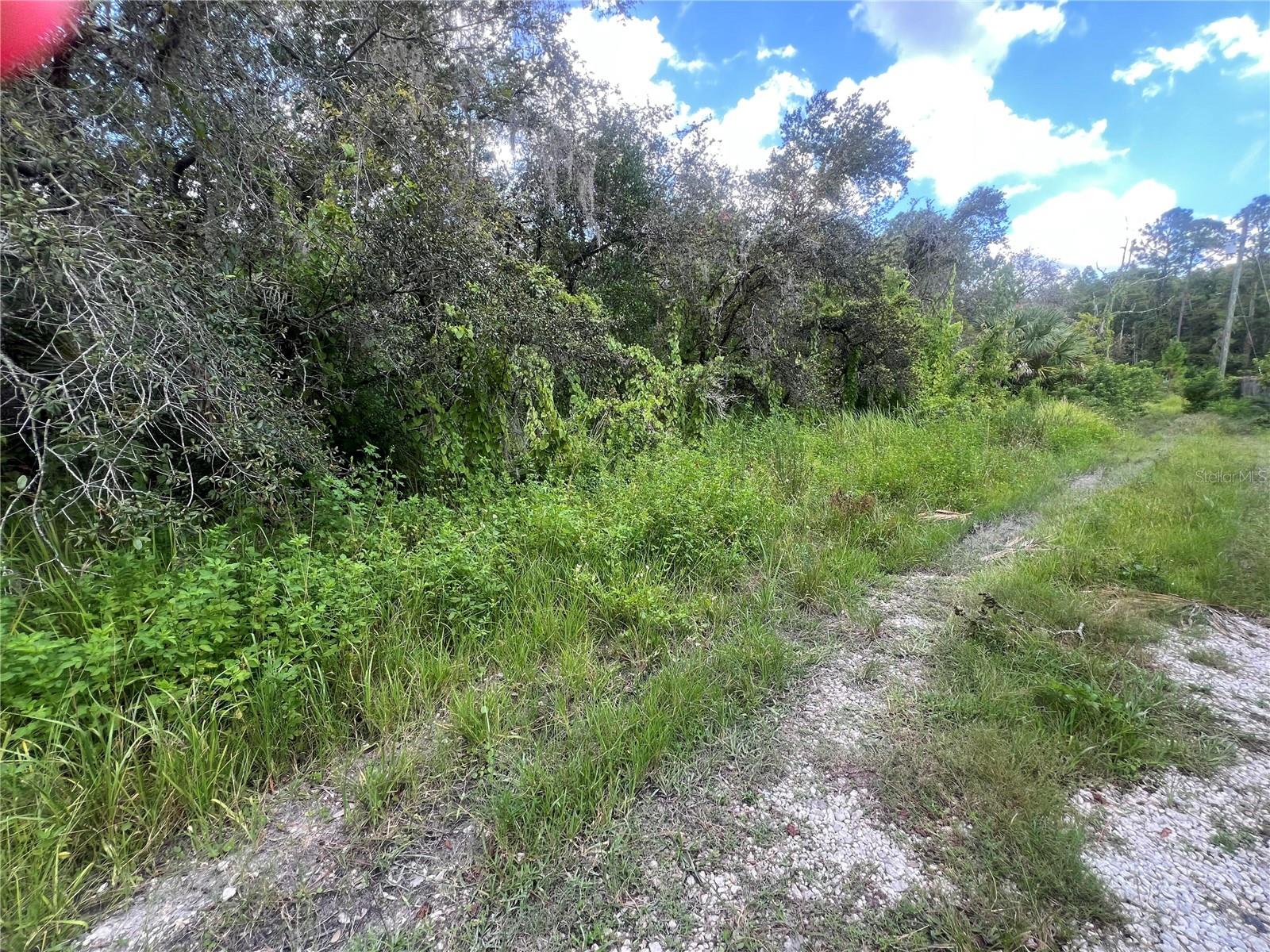 Image 2 of 8 For 0 Ladd Avenue
