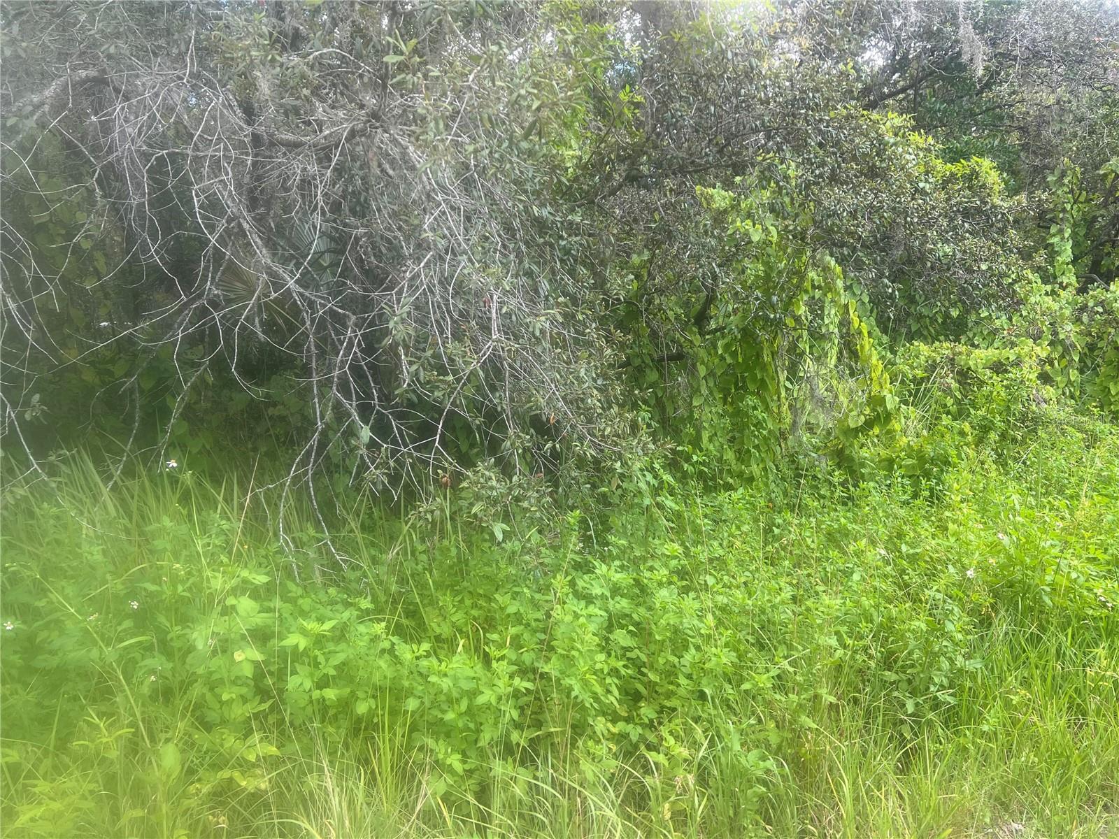 Image 4 of 8 For 0 Ladd Avenue