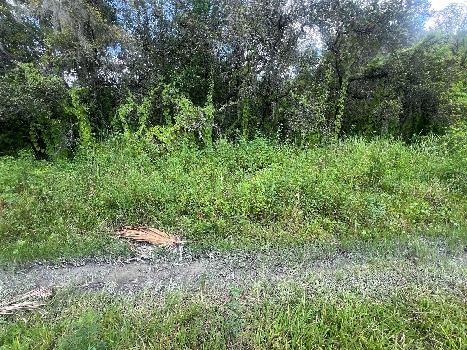 Image 6 of 8 For 0 Ladd Avenue
