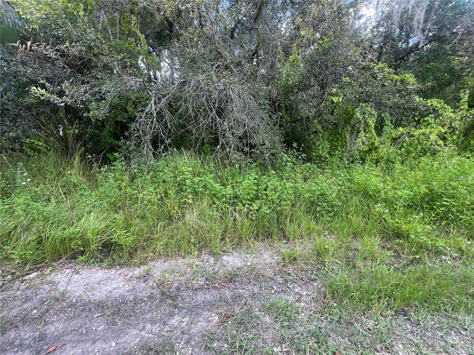 Image 7 of 8 For 0 Ladd Avenue
