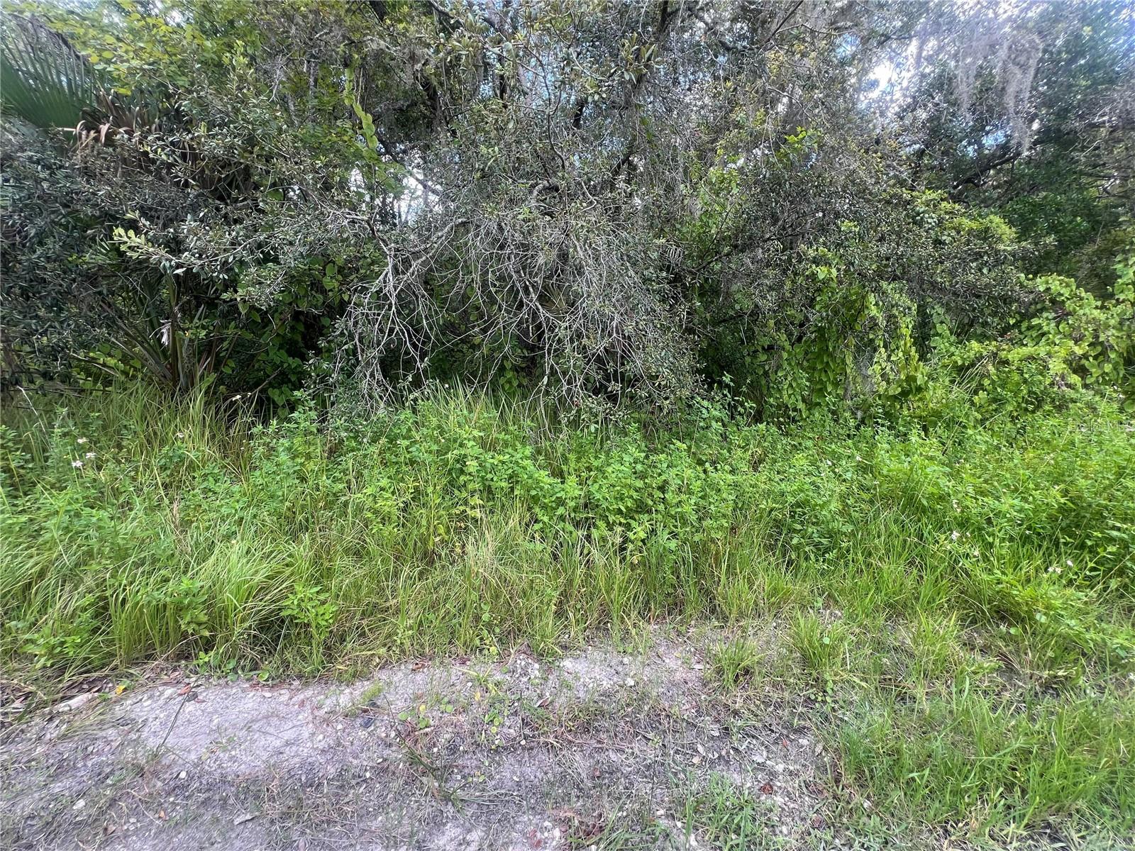 Image 8 of 8 For 0 Ladd Avenue