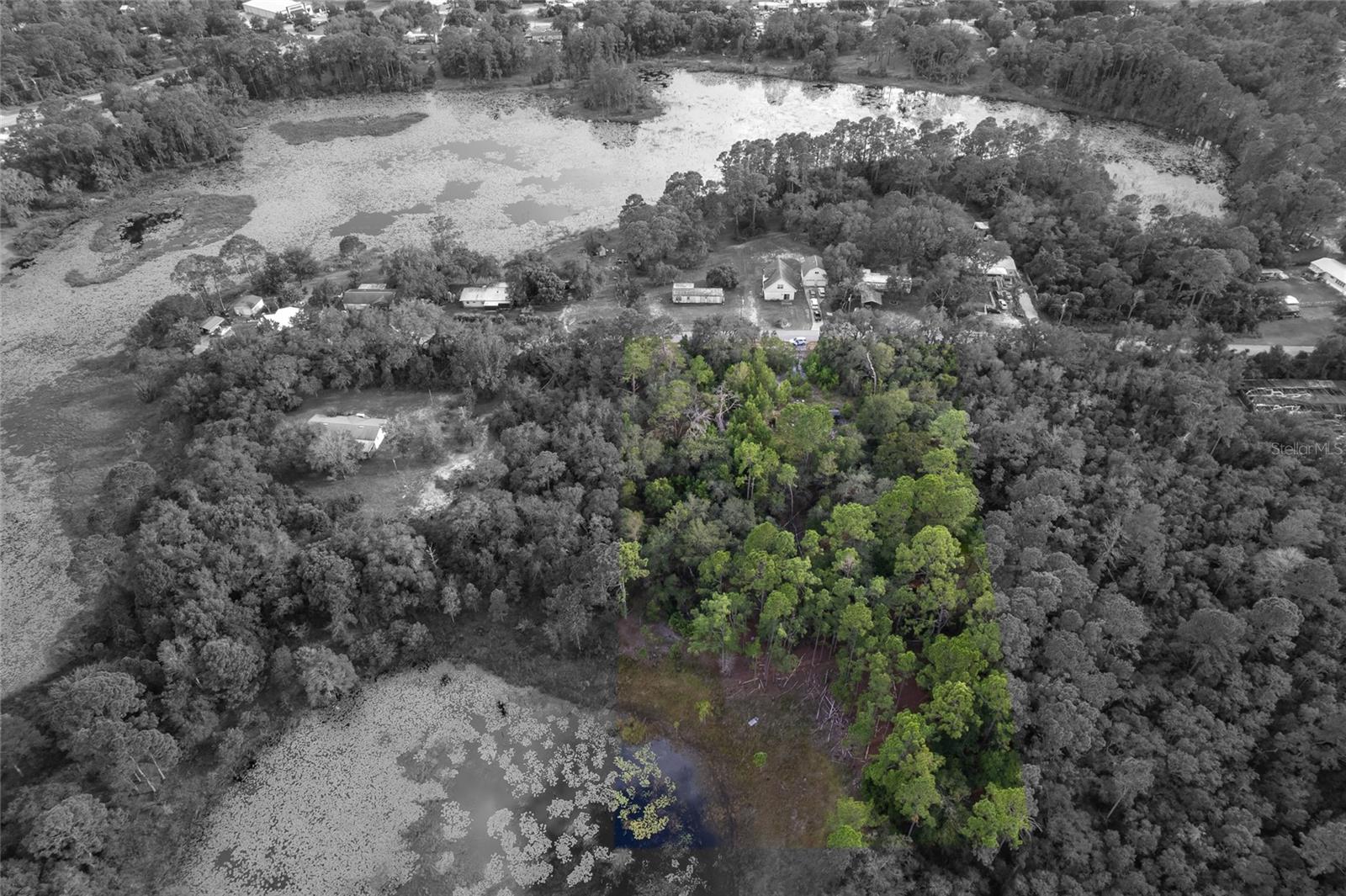 Image 5 of 6 For 31615 Pinecrest Road