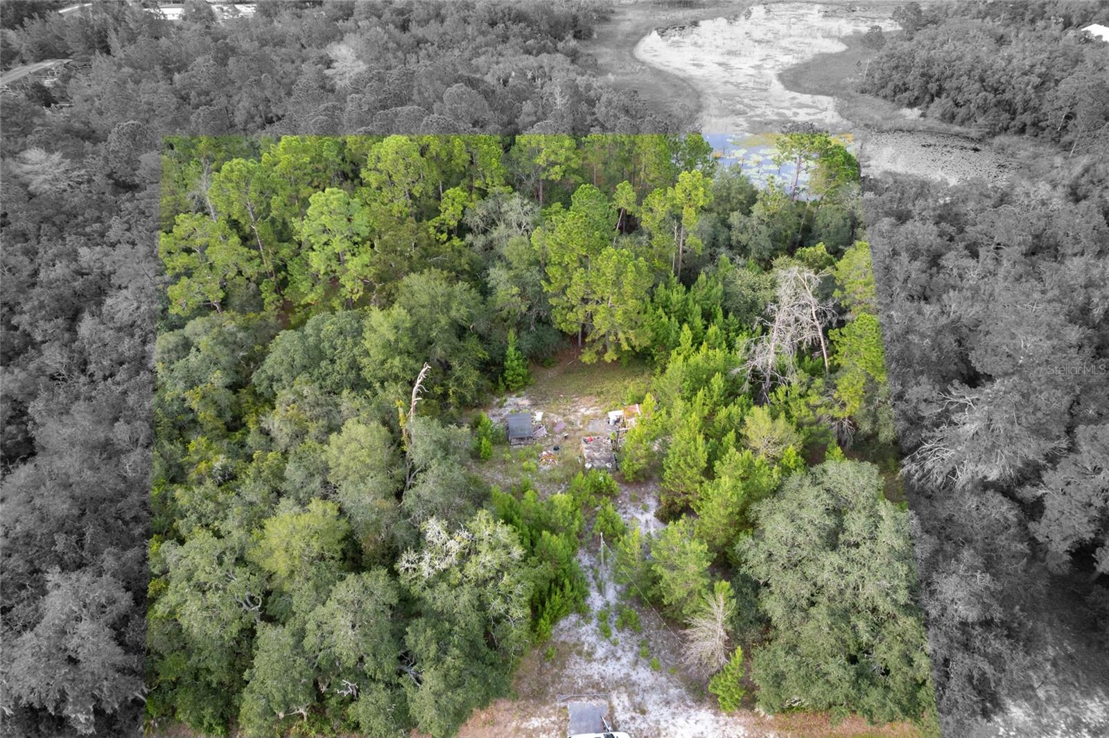 Image 6 of 6 For 31615 Pinecrest Road
