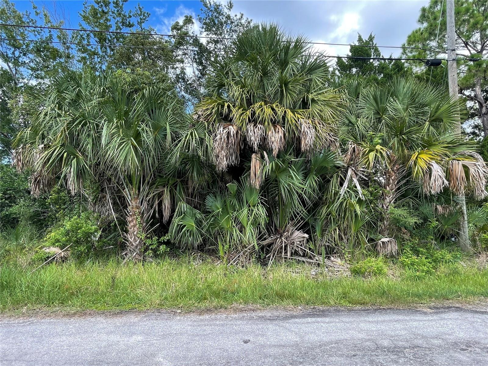 Image 5 of 17 For 16236 Sea Pines Drive