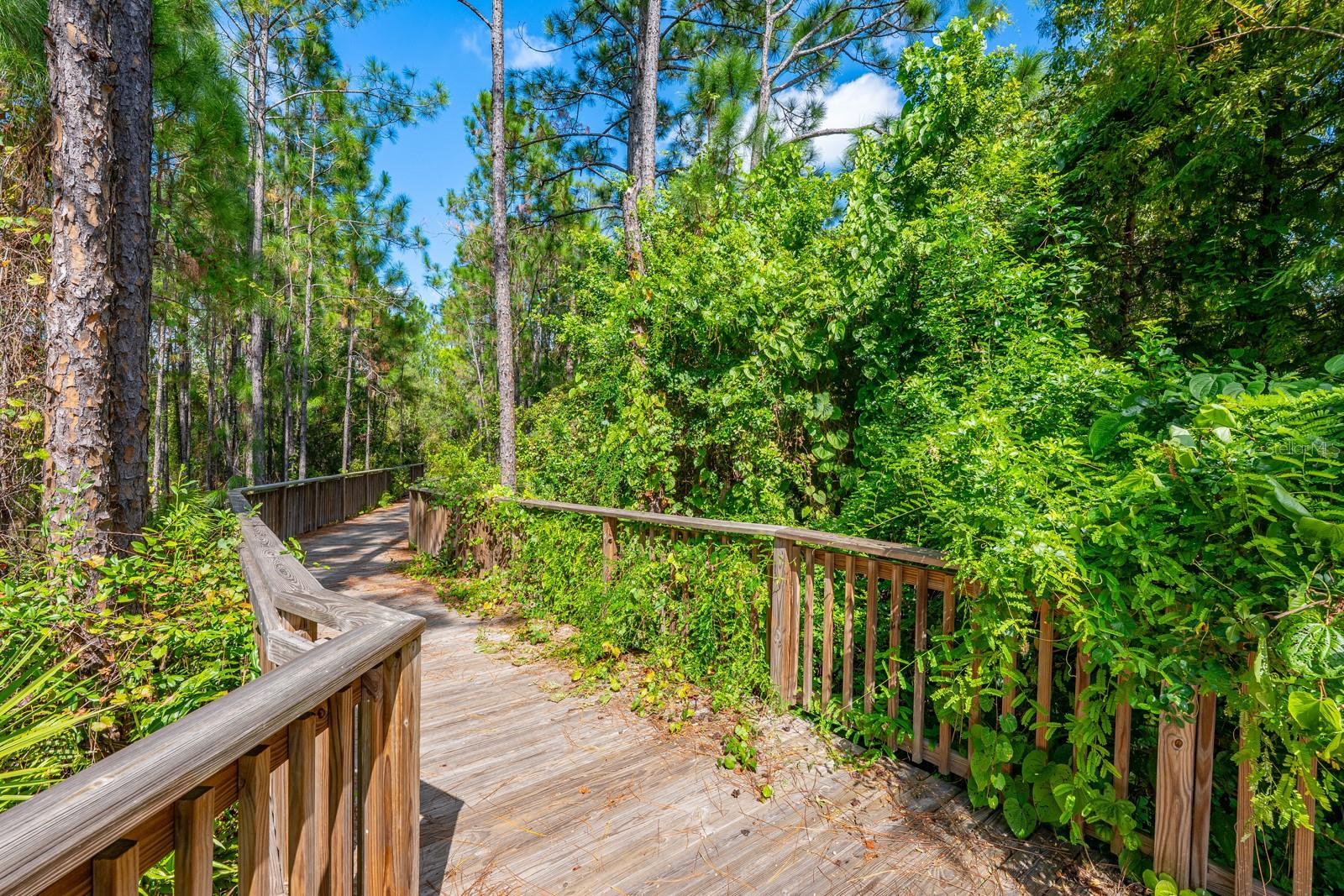 Image 43 of 47 For 8282 Nemours Parkway