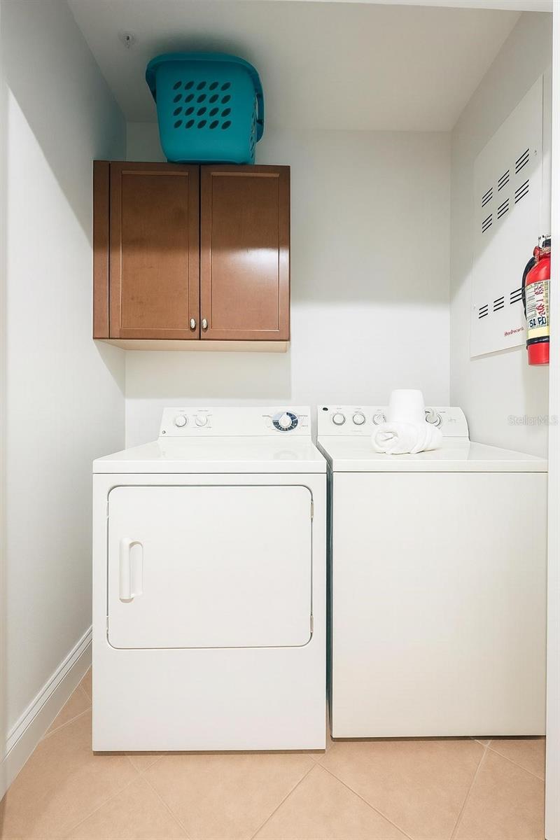 Image 15 of 43 For 7505 Mourning Dove  302