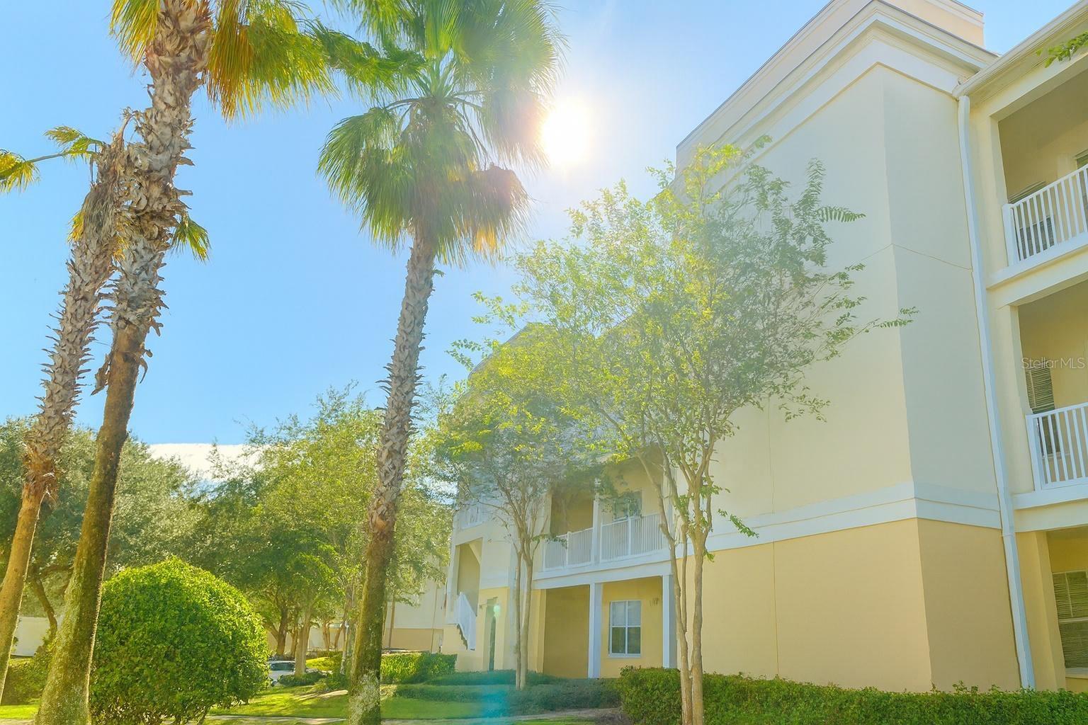 Image 16 of 43 For 7505 Mourning Dove  302