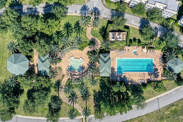 Image 20 of 43 For 7505 Mourning Dove  302