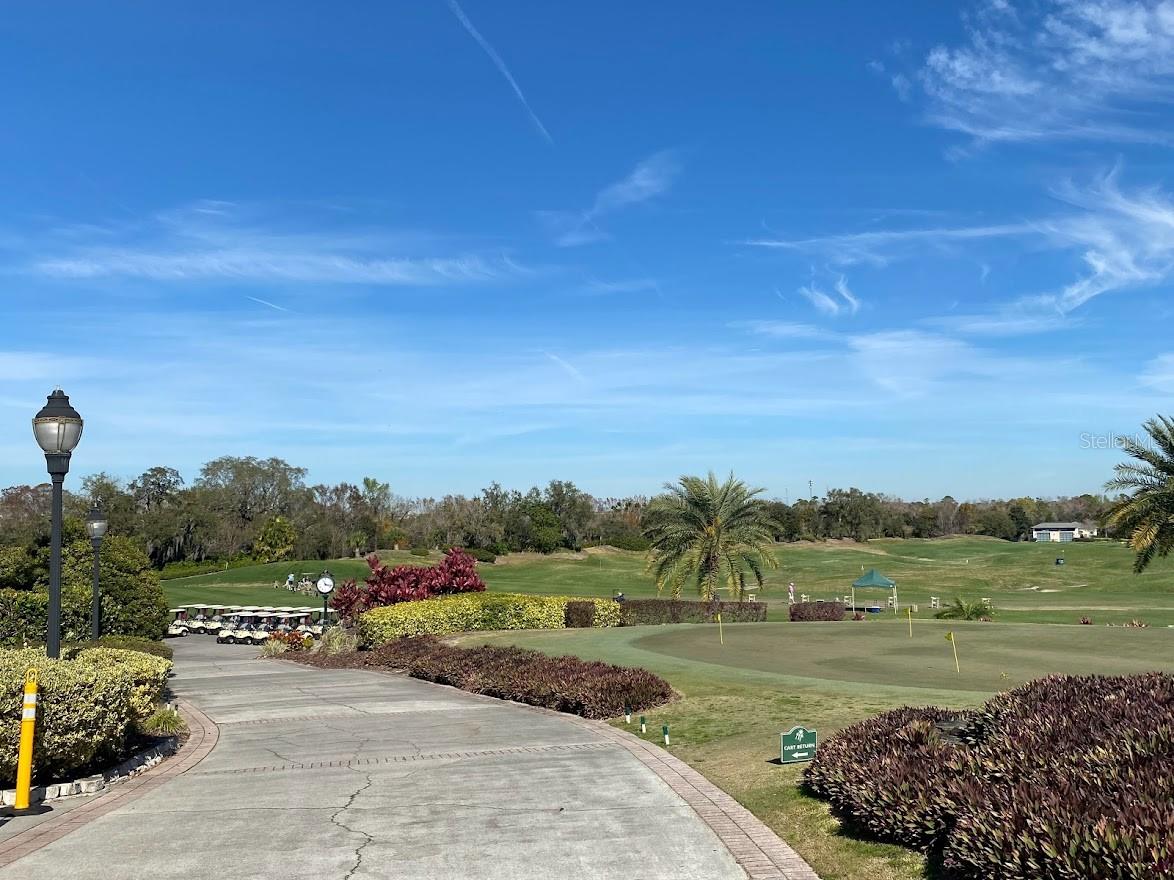 Image 31 of 43 For 7505 Mourning Dove  302