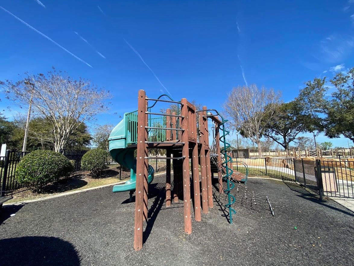 Image 36 of 43 For 7505 Mourning Dove  302