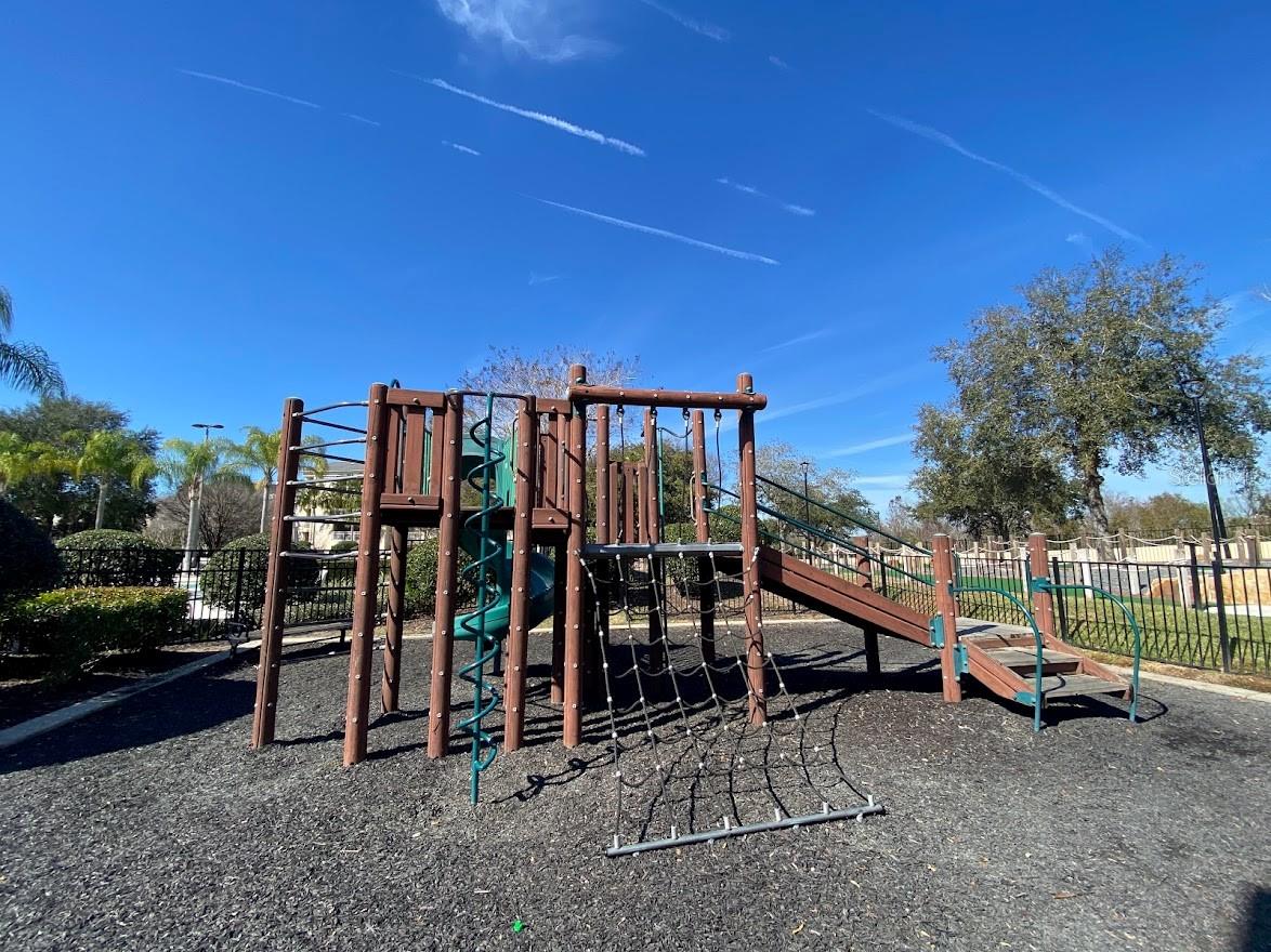 Image 37 of 43 For 7505 Mourning Dove  302