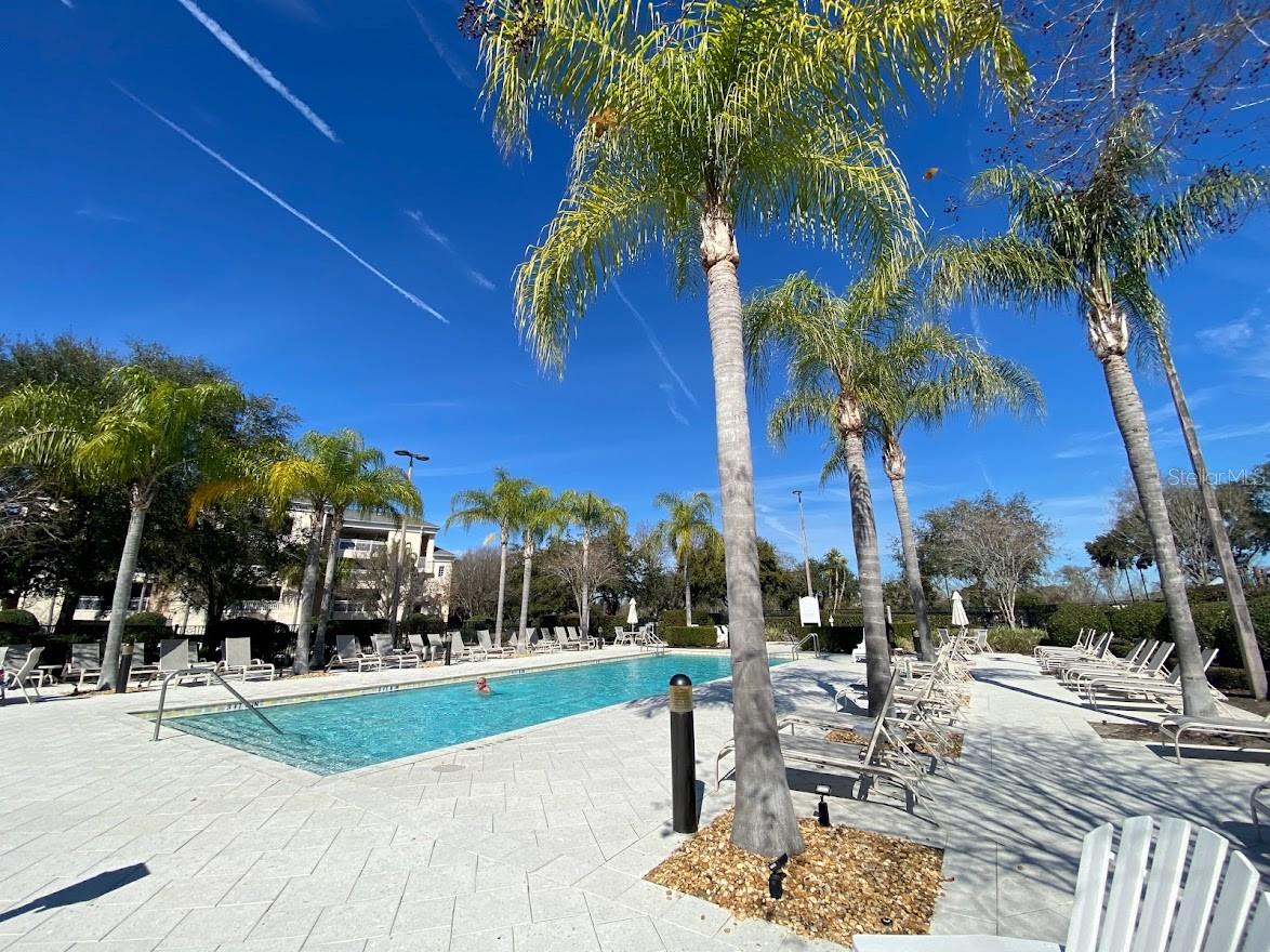 Image 38 of 43 For 7505 Mourning Dove  302