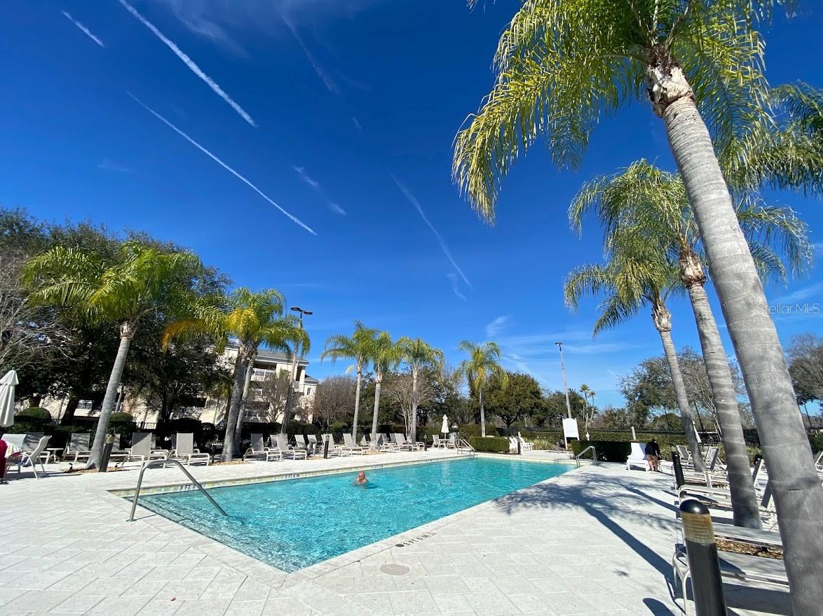 Image 39 of 43 For 7505 Mourning Dove  302