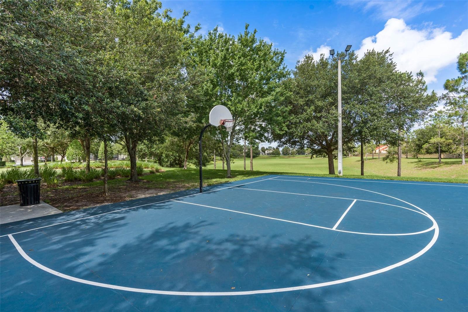 Image 63 of 64 For 2595 Maneshaw Lane