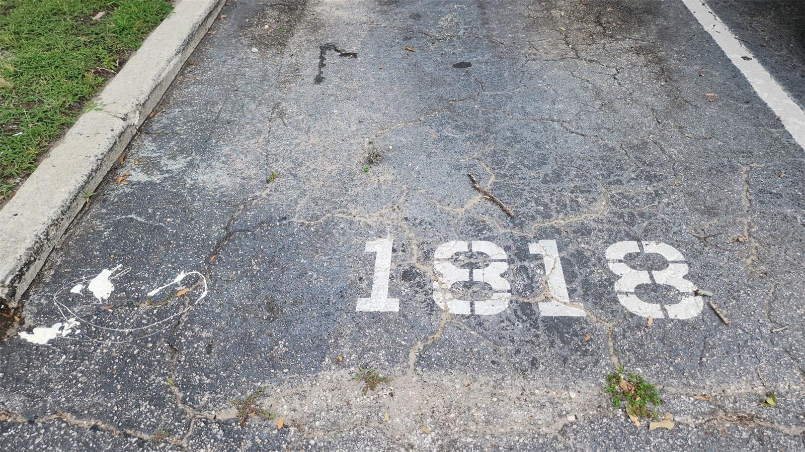 Image 32 of 36 For 1818 Warringwood Drive Ge