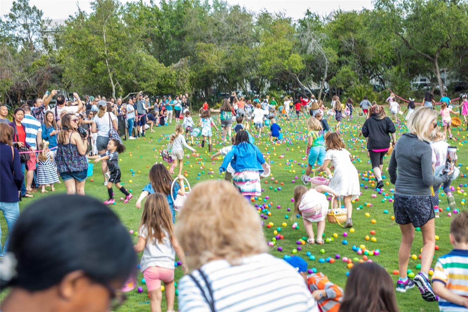Image 80 of 90 For 1135 Mosaic Drive
