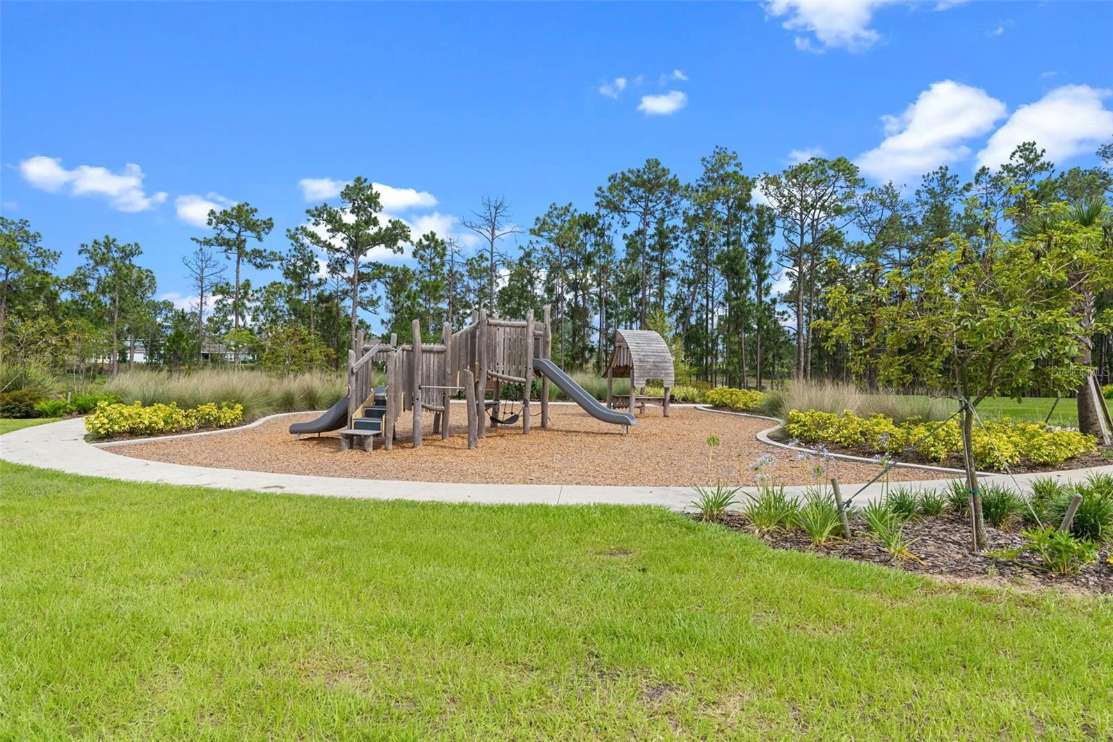 Image 35 of 52 For 15209 Summer Harvest Street