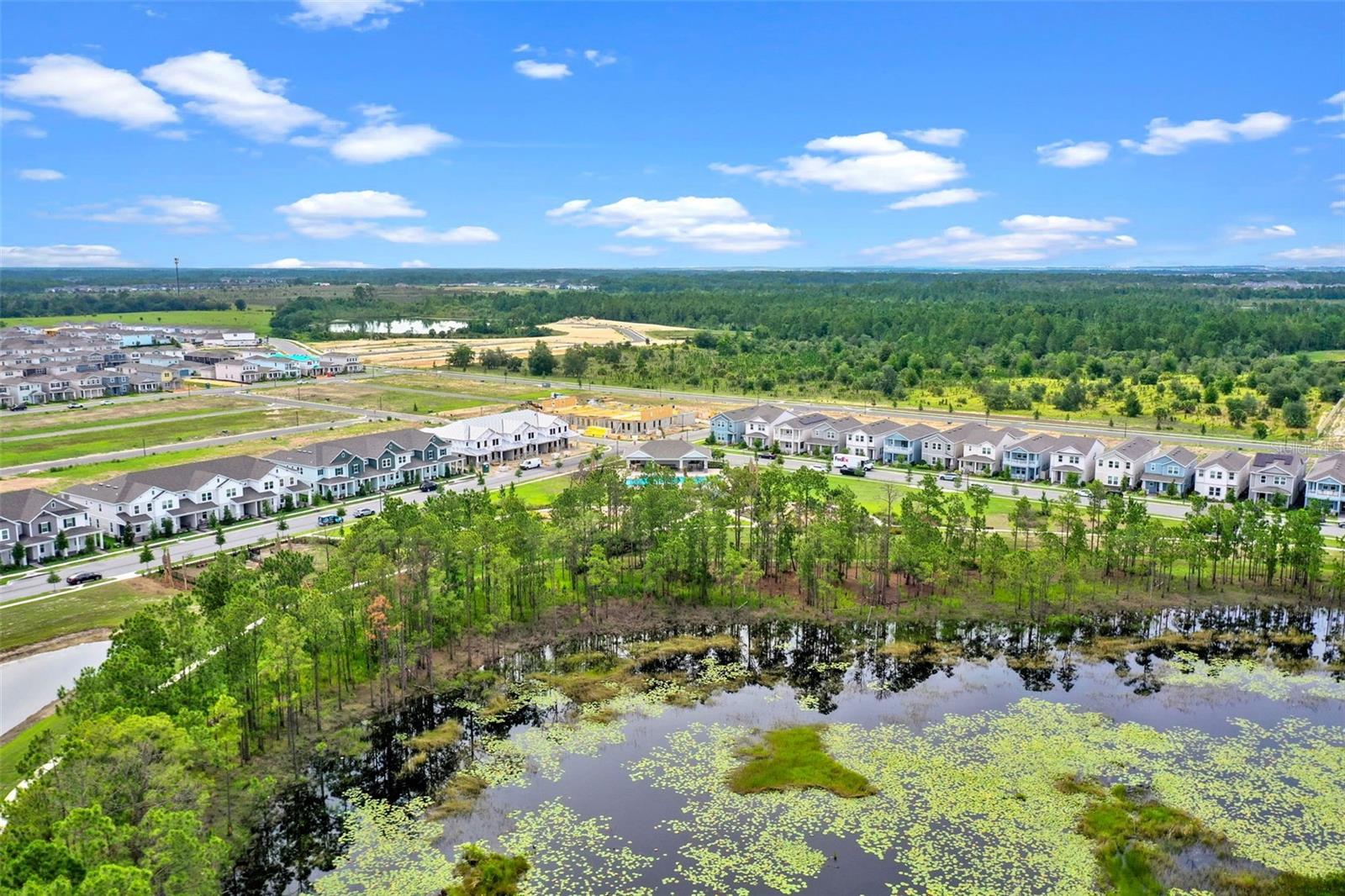 Image 43 of 52 For 15209 Summer Harvest Street