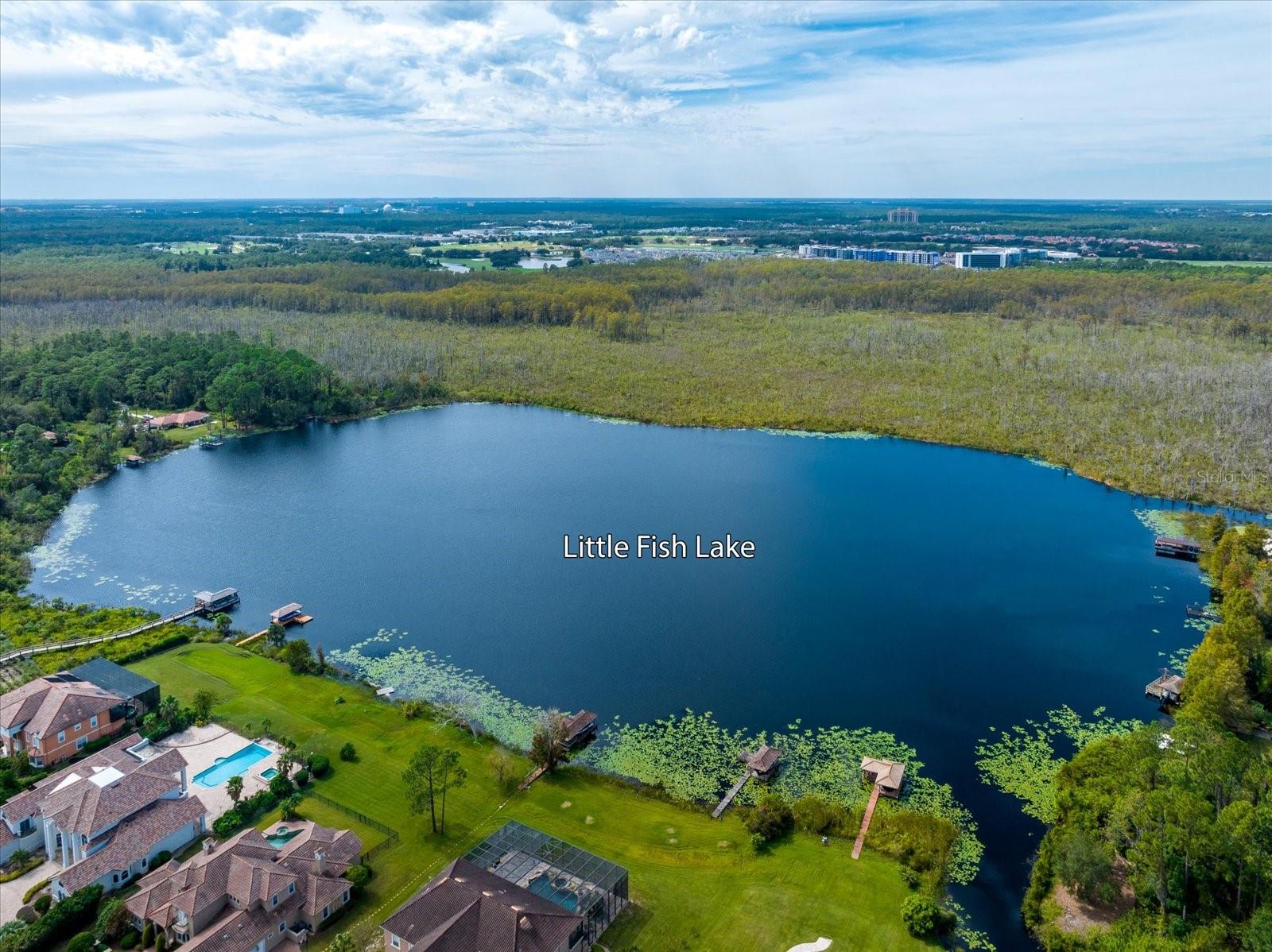 Image 4 of 39 For 10606 Boca Point Dr