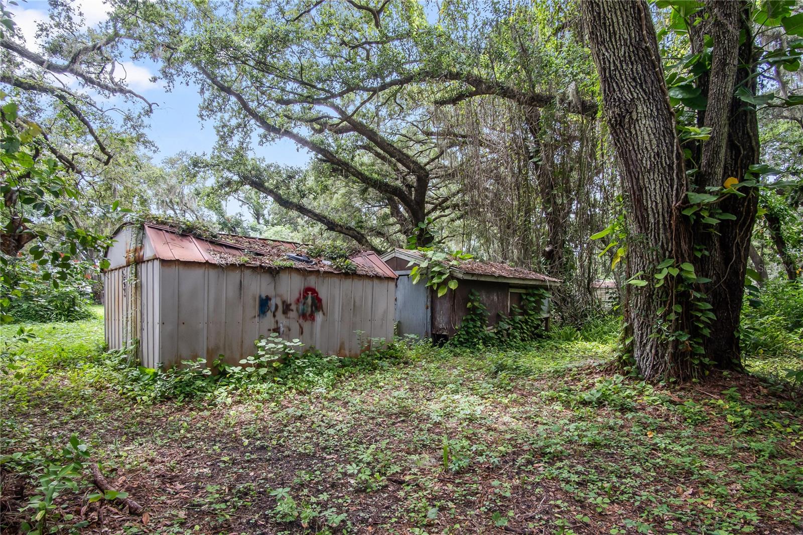 Image 8 of 10 For 1124 Wiggins Road