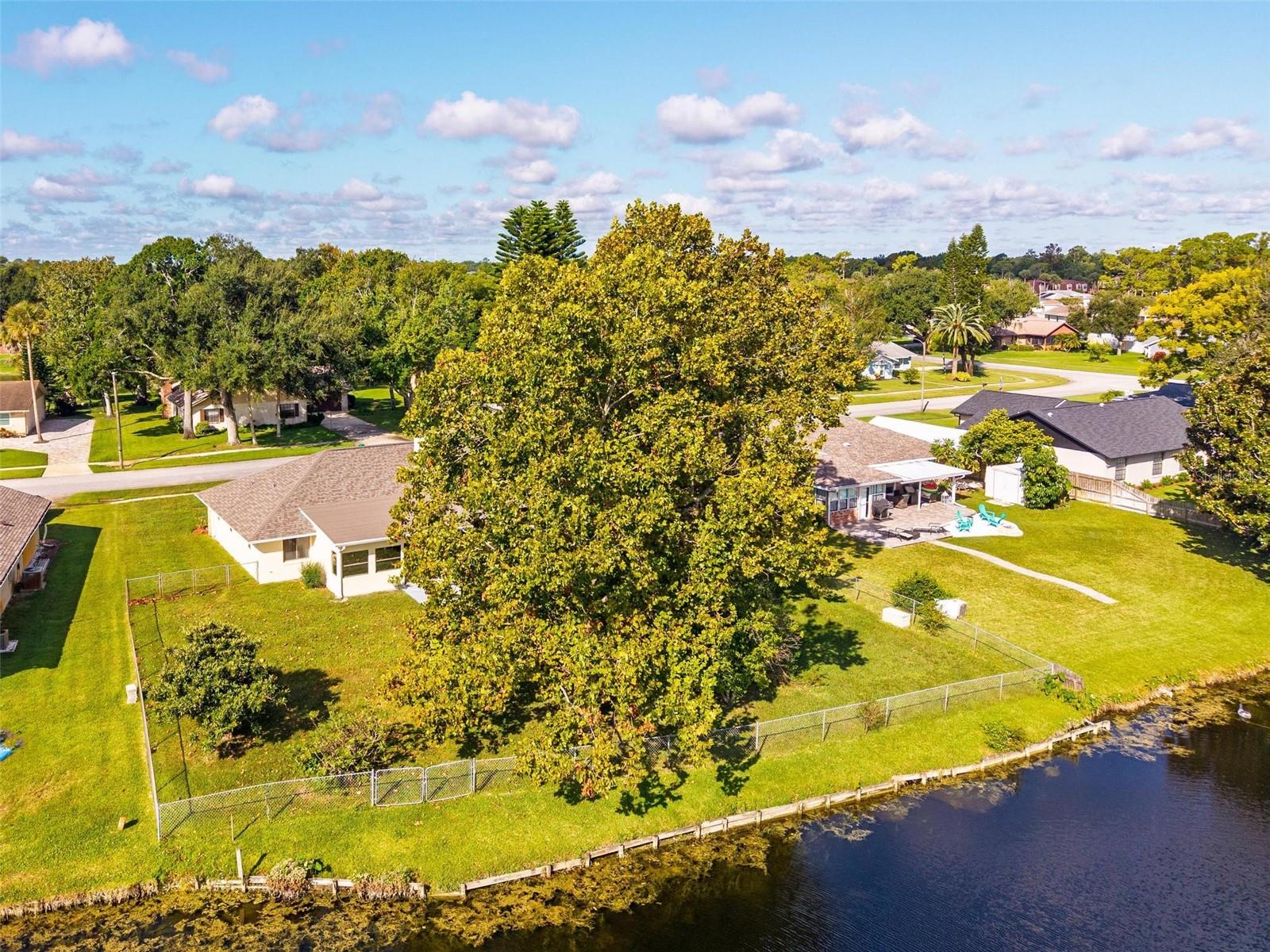 Image 78 of 85 For 806 Black Duck Drive