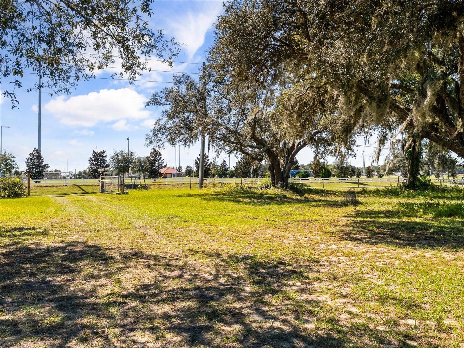 Image 32 of 40 For 2101 Appy Lane