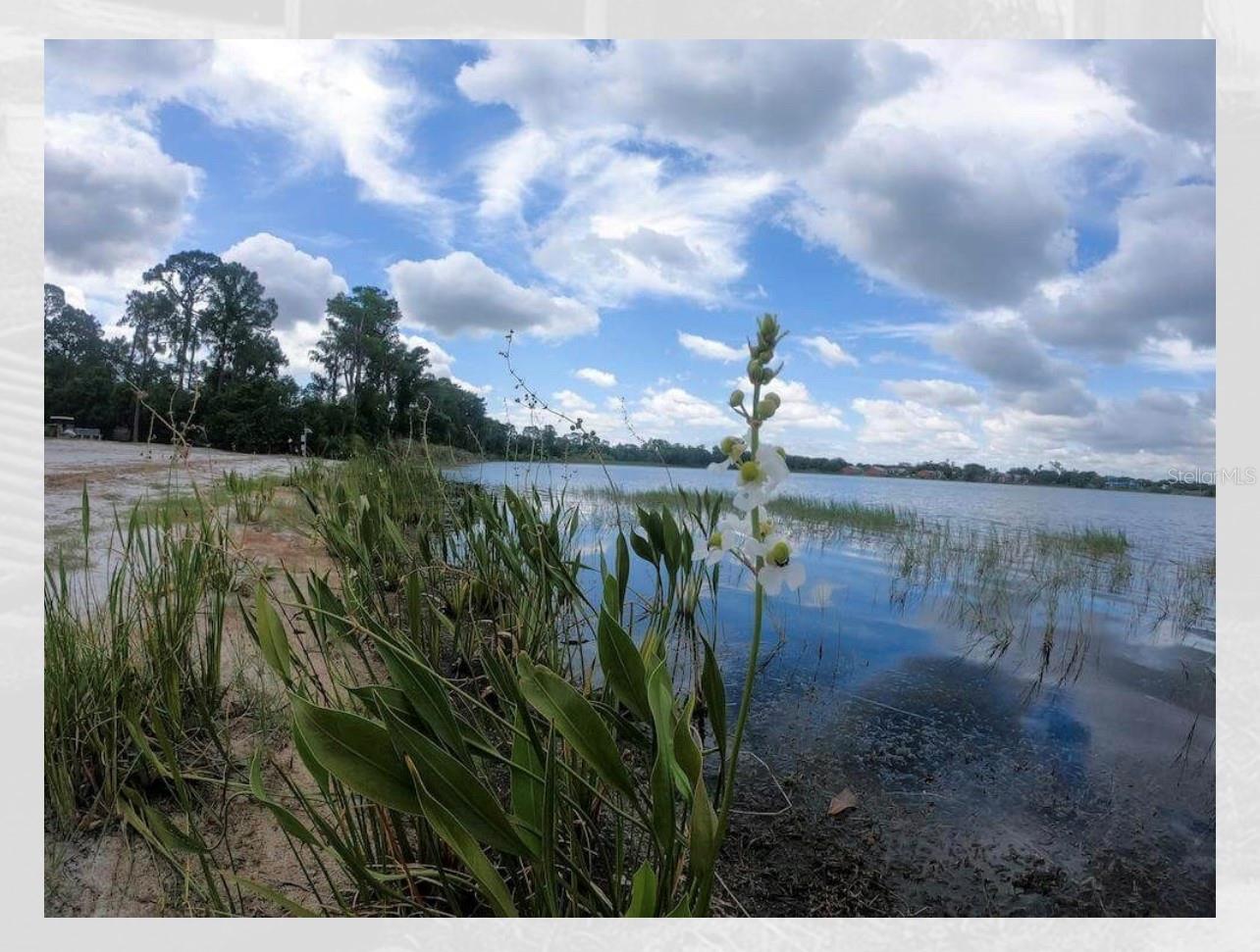 Image 22 of 26 For 3623 Atrium Drive U5