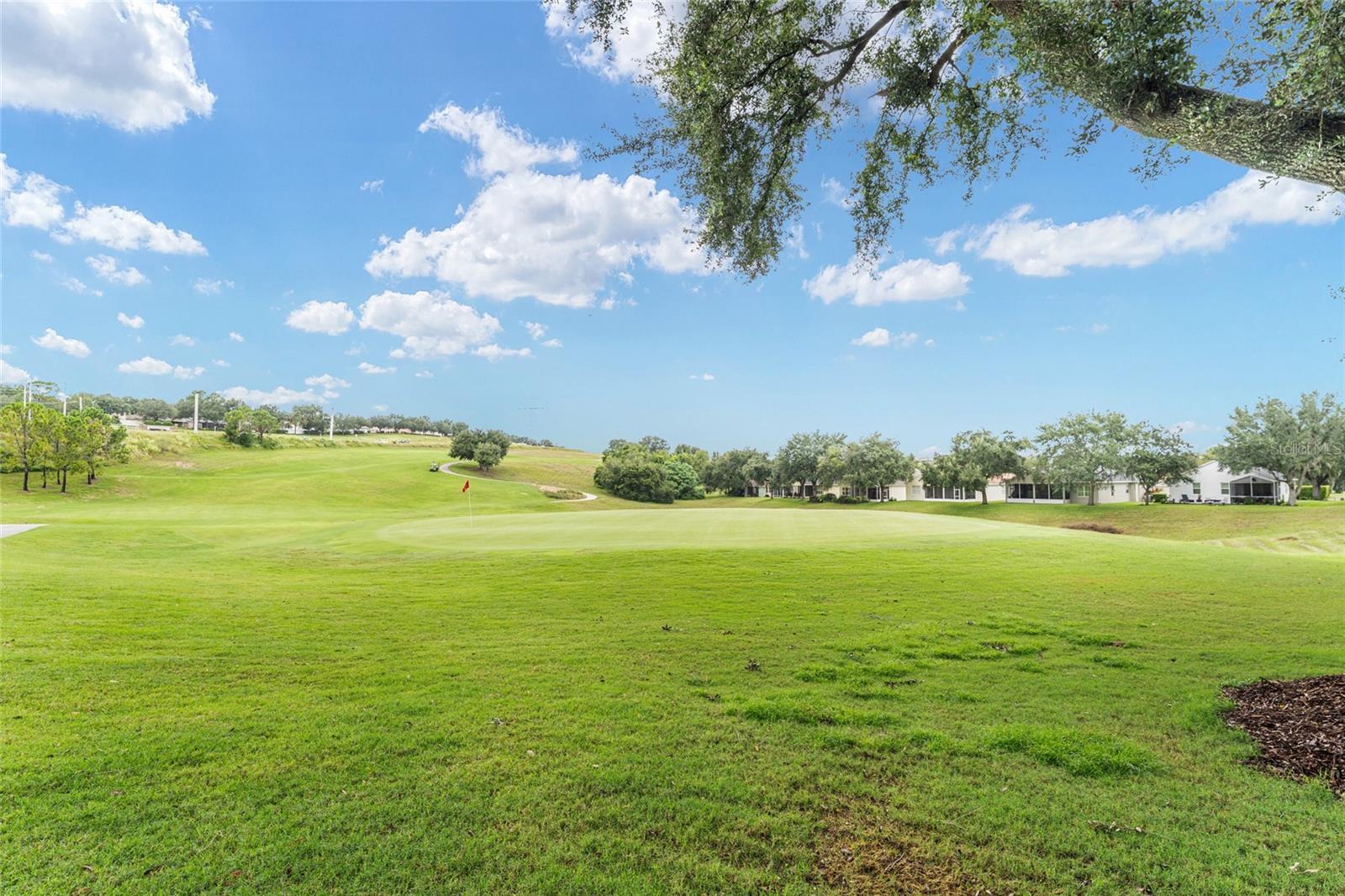 Image 65 of 81 For 748 Summit Greens Boulevard