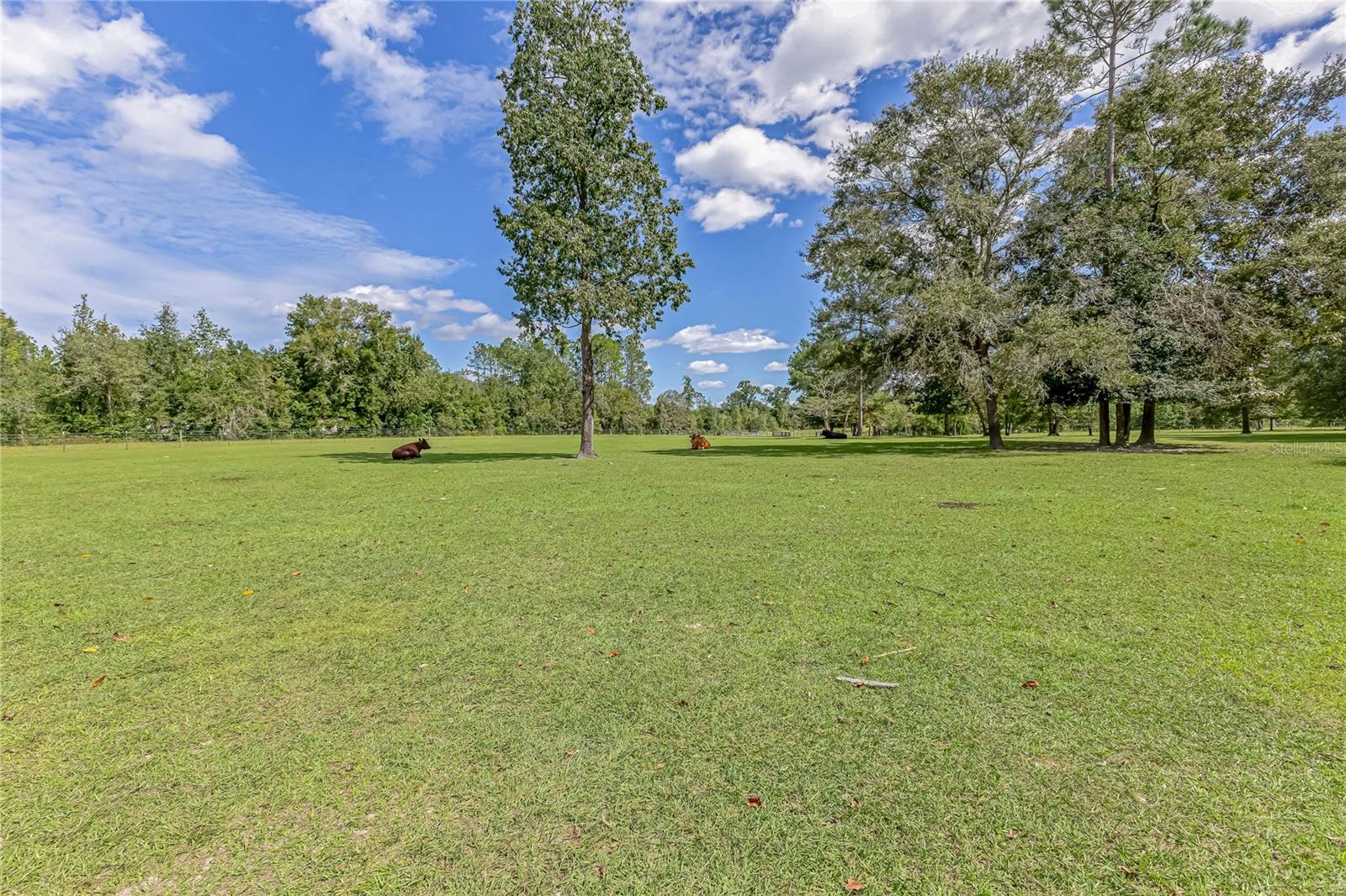 Image 24 of 54 For 322 Cantaloupe Avenue