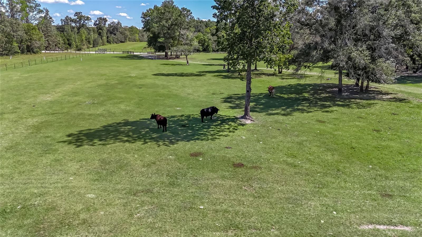 Image 25 of 54 For 322 Cantaloupe Avenue