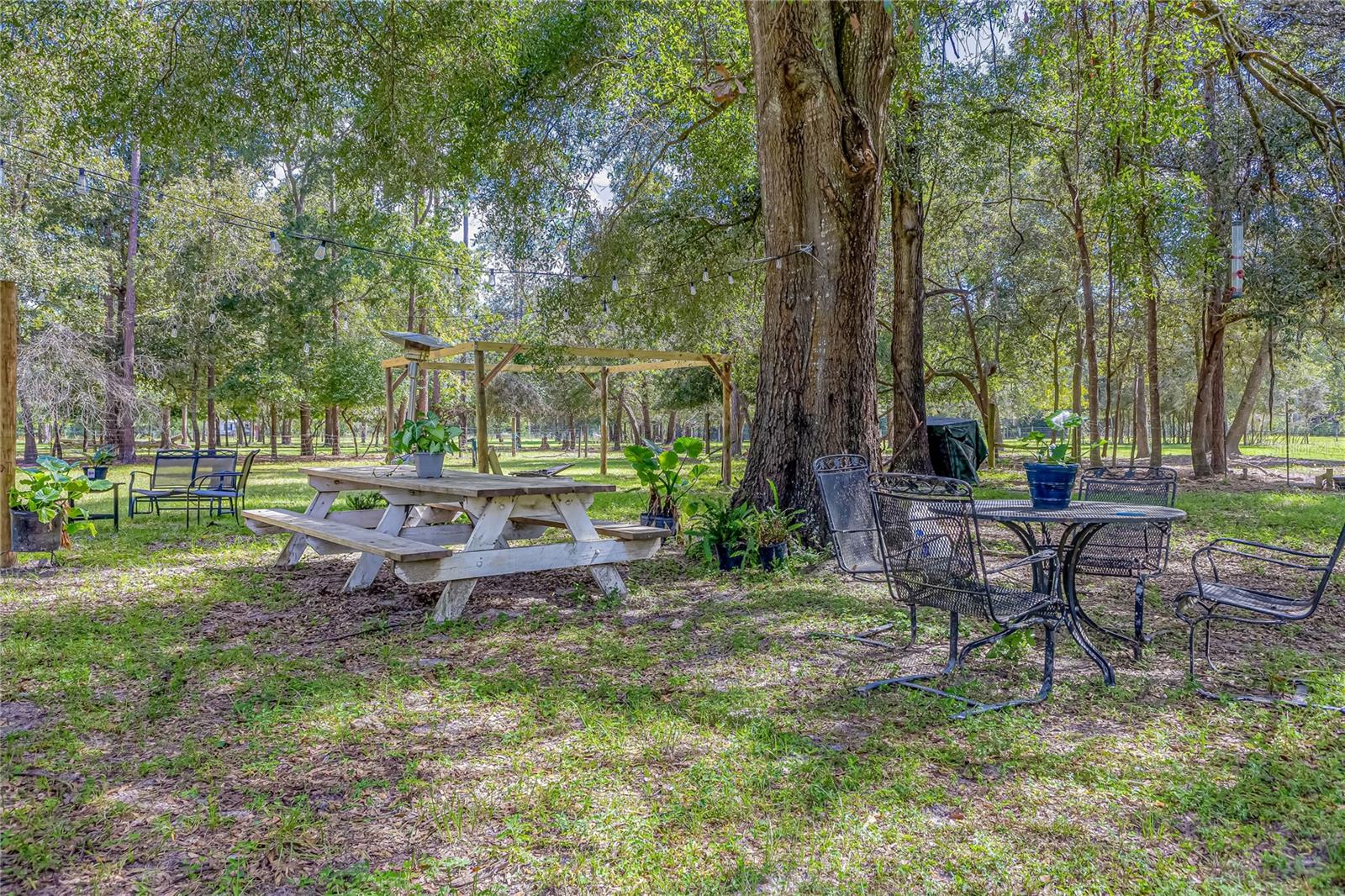 Image 27 of 54 For 322 Cantaloupe Avenue