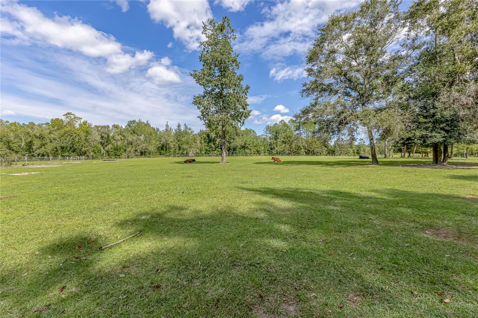 Image 28 of 54 For 322 Cantaloupe Avenue