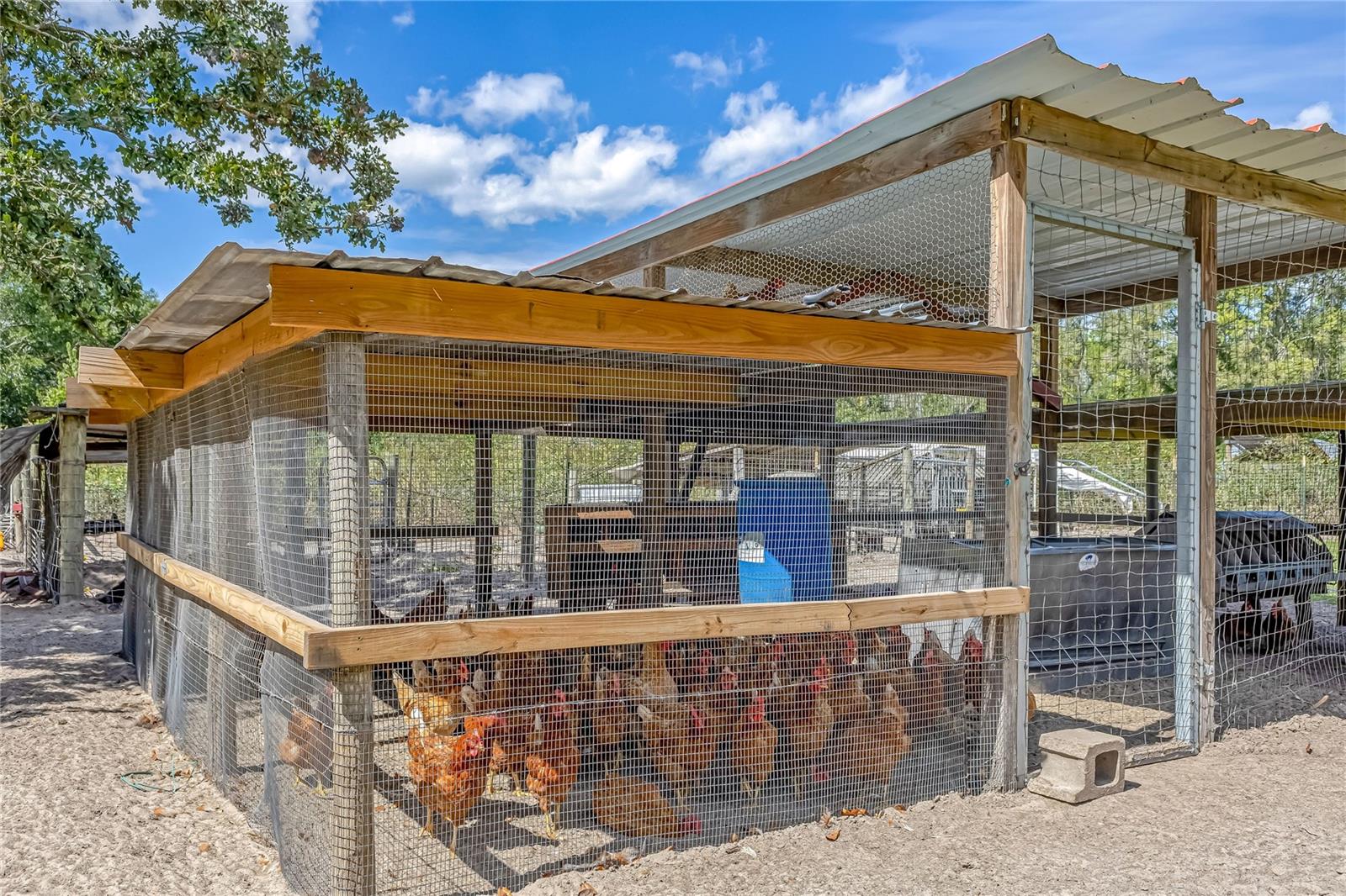 Image 33 of 54 For 322 Cantaloupe Avenue