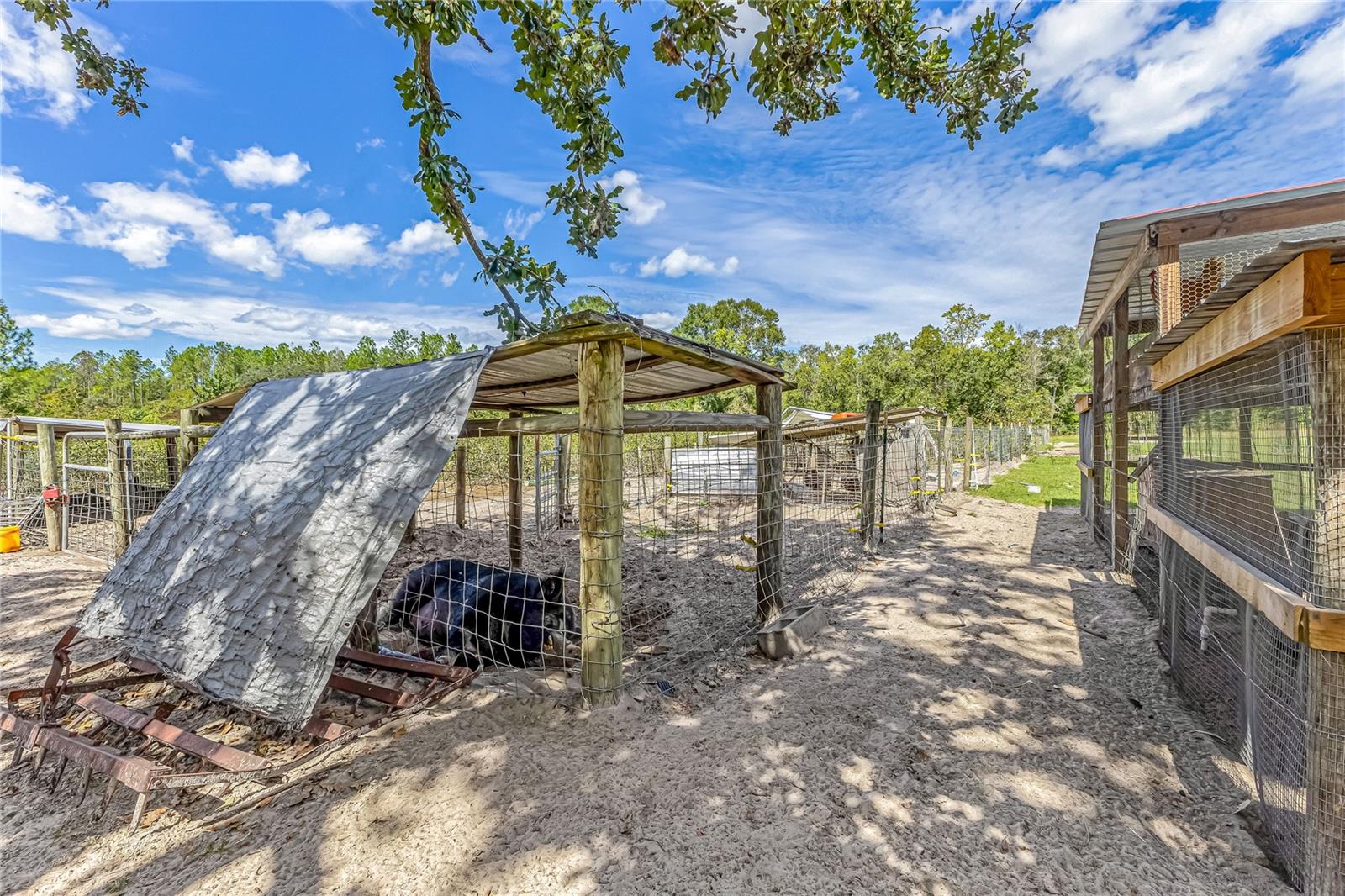 Image 35 of 54 For 322 Cantaloupe Avenue