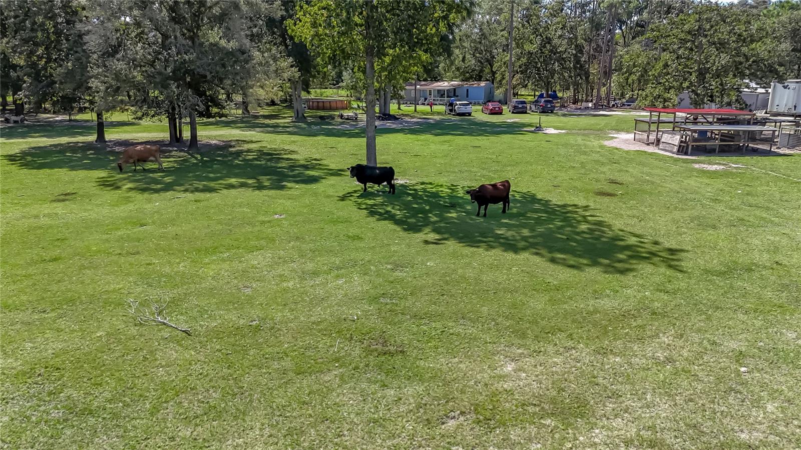 Image 50 of 54 For 322 Cantaloupe Avenue