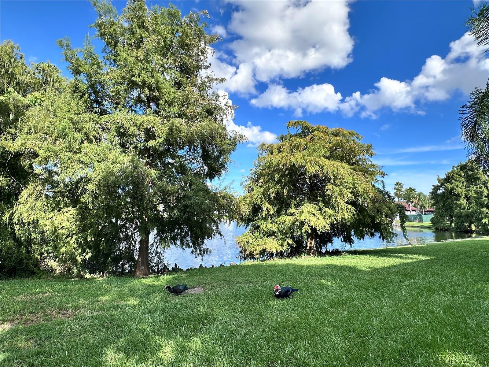 Image 3 of 7 For 5513 Pga Boulevard 4837