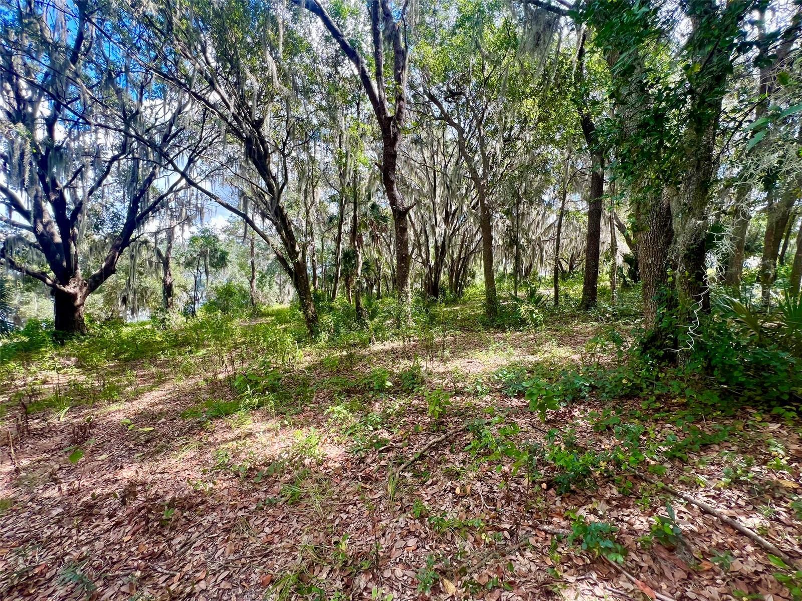 Image 16 of 16 For 24225 Bear Paw Court