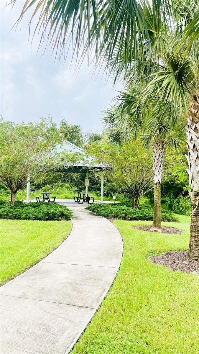 Image 36 of 61 For 13106 Orange Isle Drive