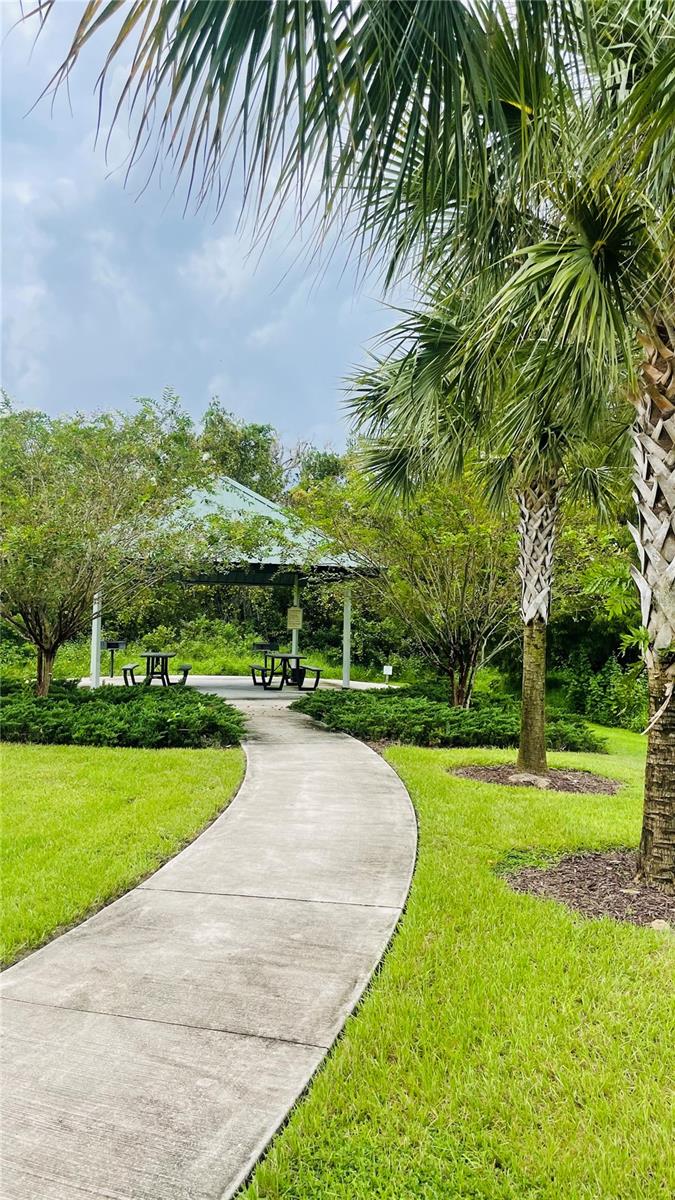 Image 40 of 61 For 13106 Orange Isle Drive